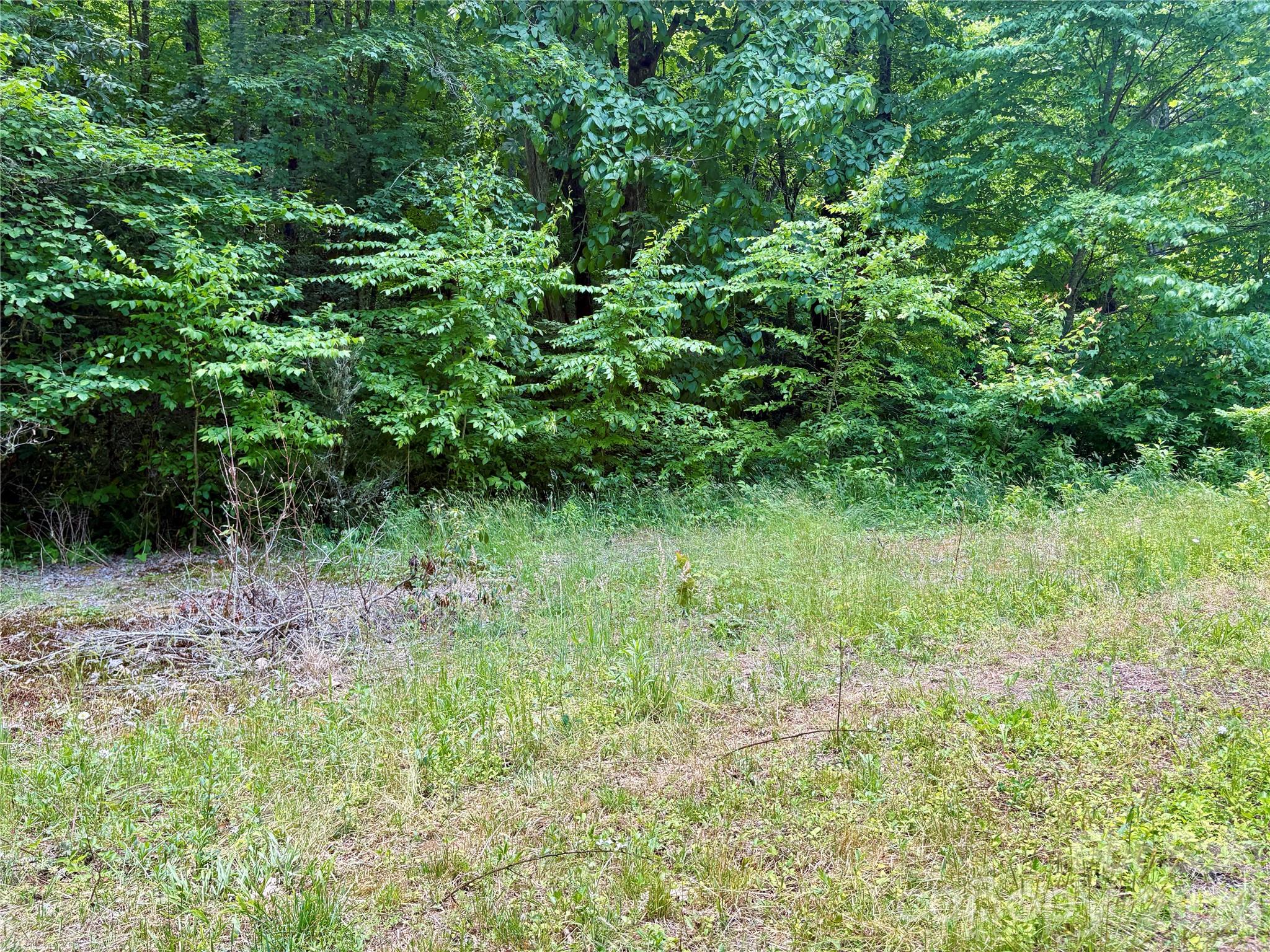 Alarka Creek Properties - Land