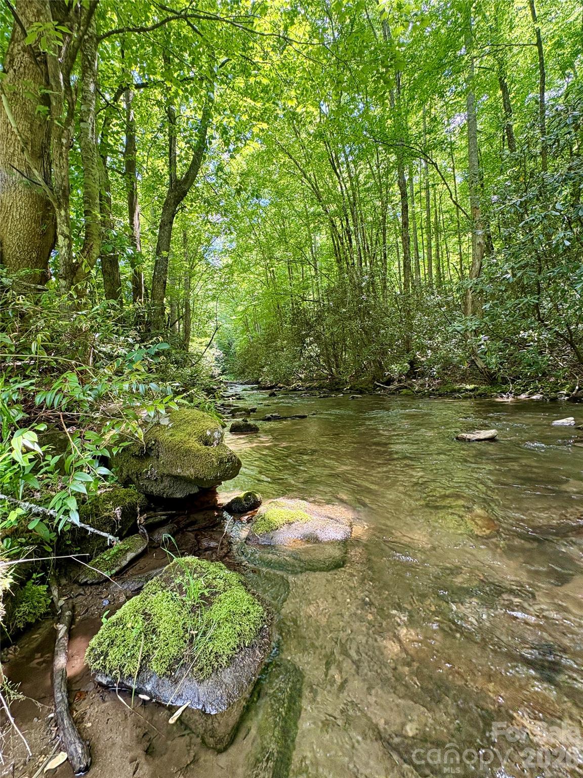 Alarka Creek Properties - Land