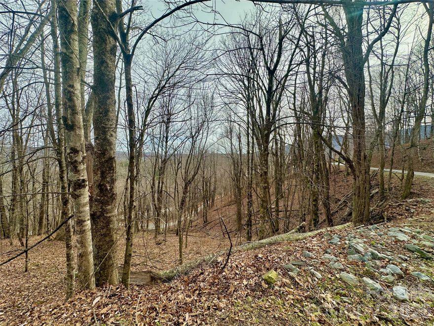 Tremendous potential with views on this double lot on Seven Devils. Welcome to Seven Devils, your high-elevation resort town central in the High Country to Boone/Banner Elk/Grandfather Mountain/Blue Ridge Parkway and more. All roads are paved and 3800'+ elevation makes for cooler summers and snowier winters. Seven Devils has park features, walking trails, hiking trails, pickleball, ski tubing and zip lining. Envision your future mountain home or cabin on this generous 0.85-acre triple lot... or consider building multiple homes! City water and power are available. Short-term rentals are allowed. Seven Devils has a 1300 sq ft minimum build requirement. No HOA fees. Lot is wooded at this time but view could be improved with tree work. Tremendous long-range view potential and all paved roads. See this one today!