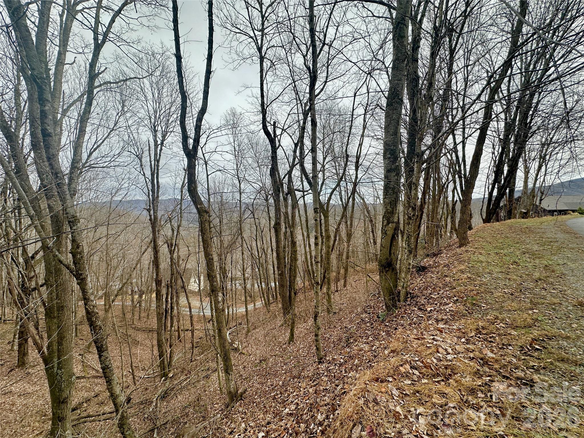 TBD Alpine Drive 21-22