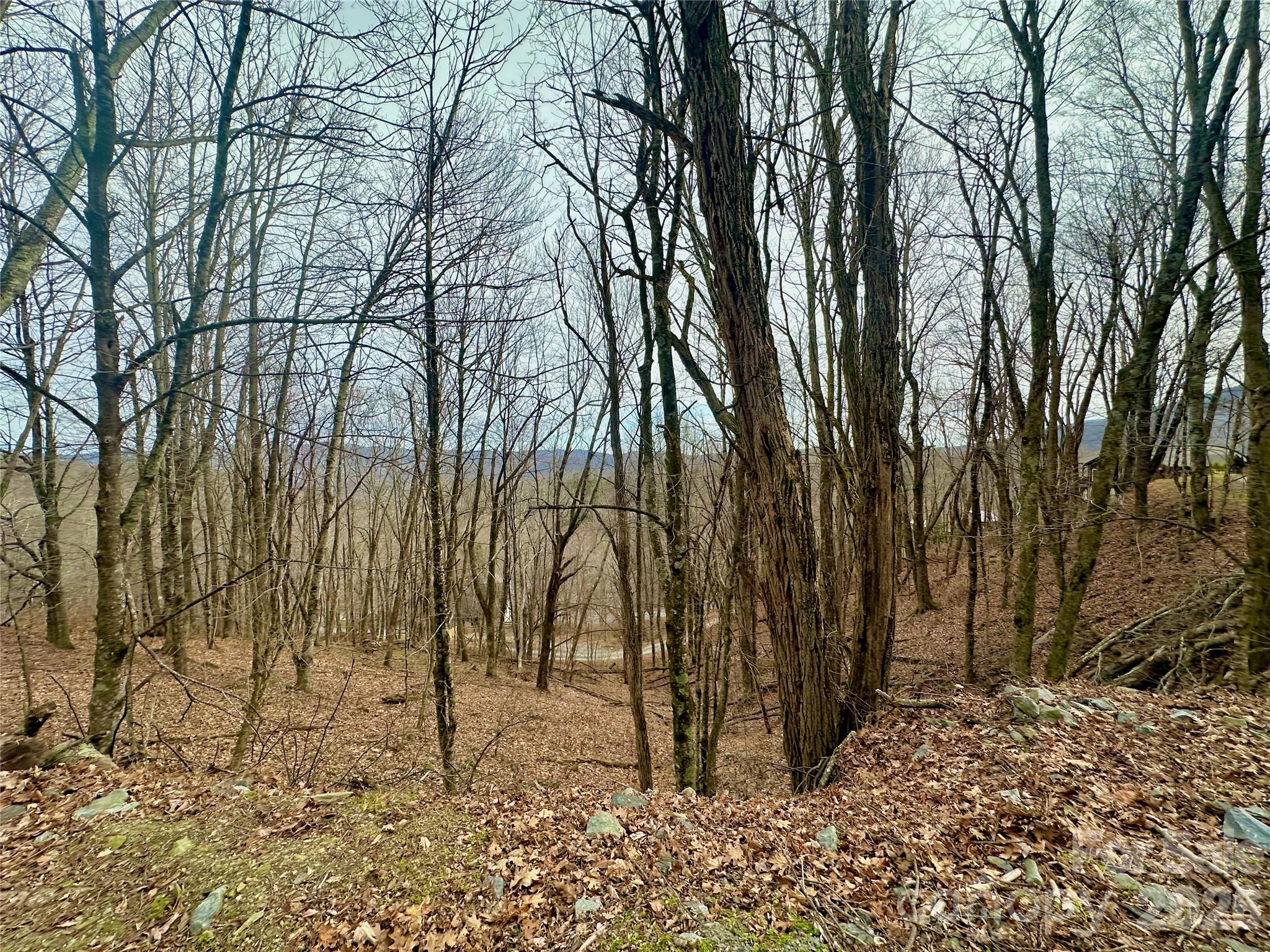 TBD Alpine Drive 21-22