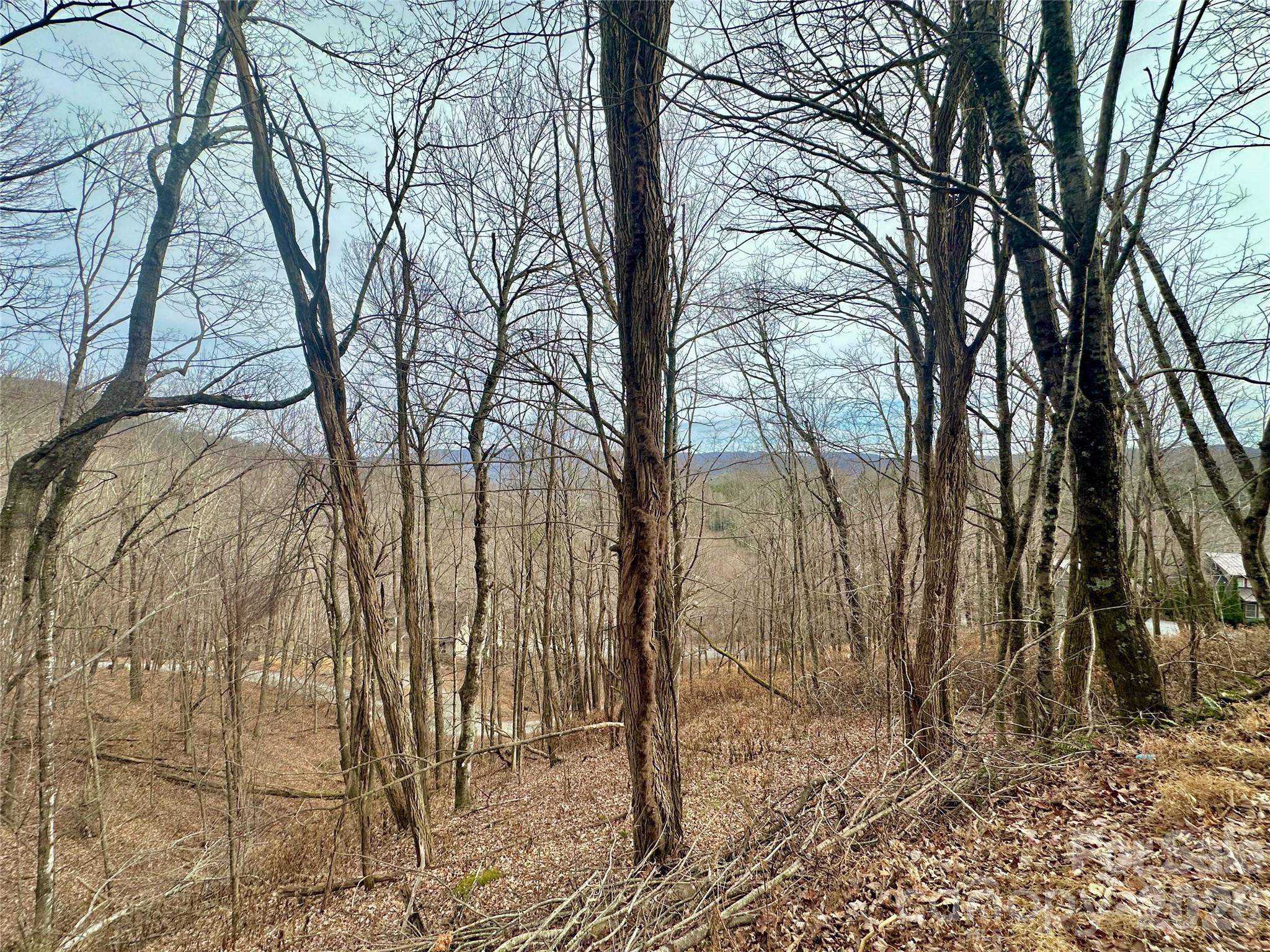 TBD Alpine Drive 21-22