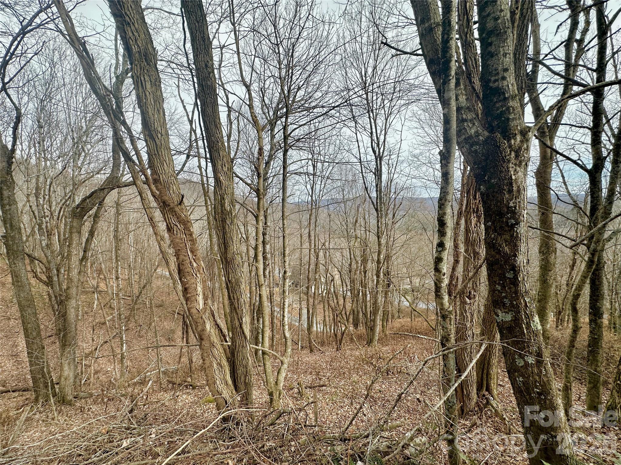 TBD Alpine Drive 21-22