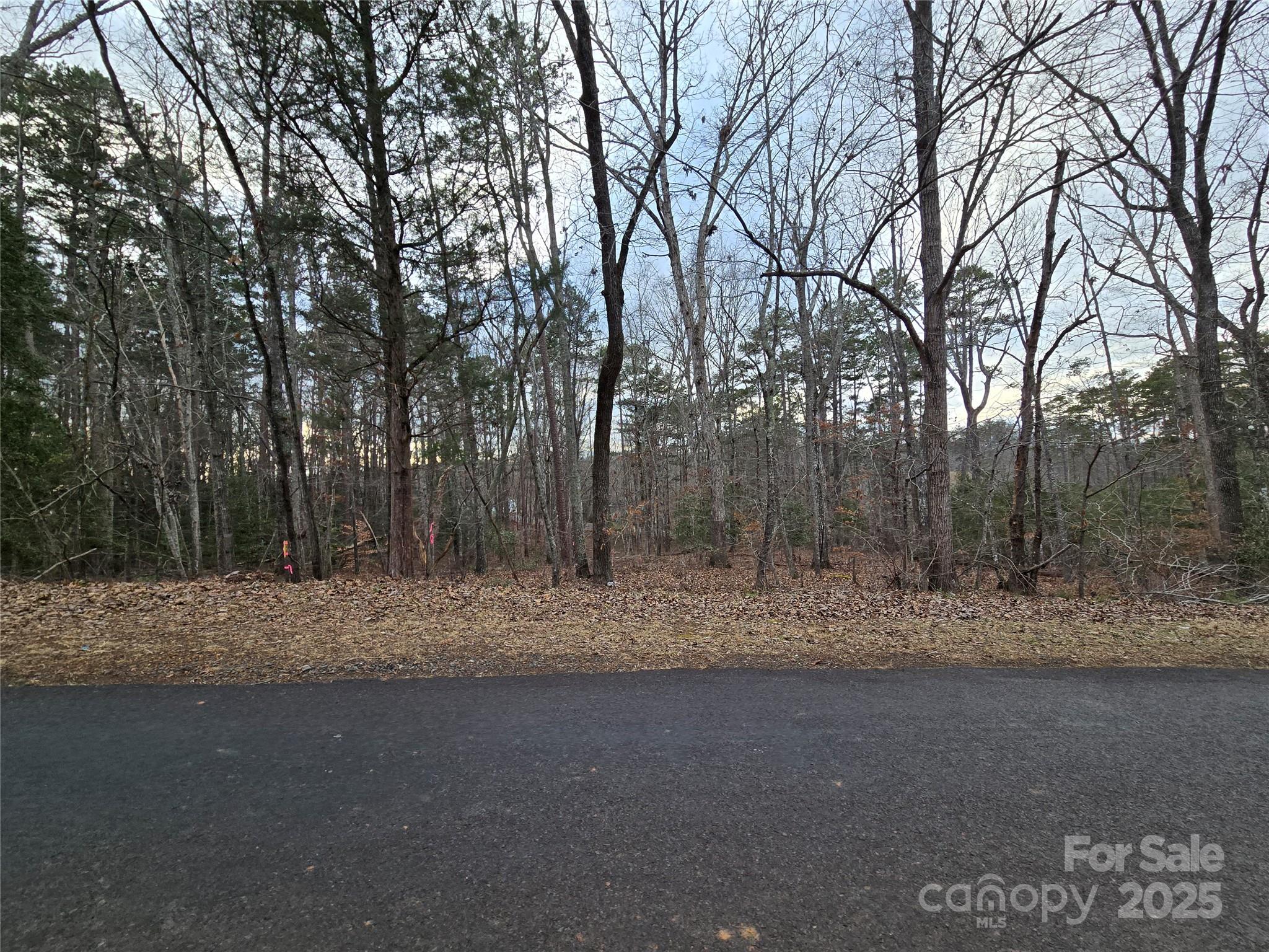 Lake Shore Estates - Land