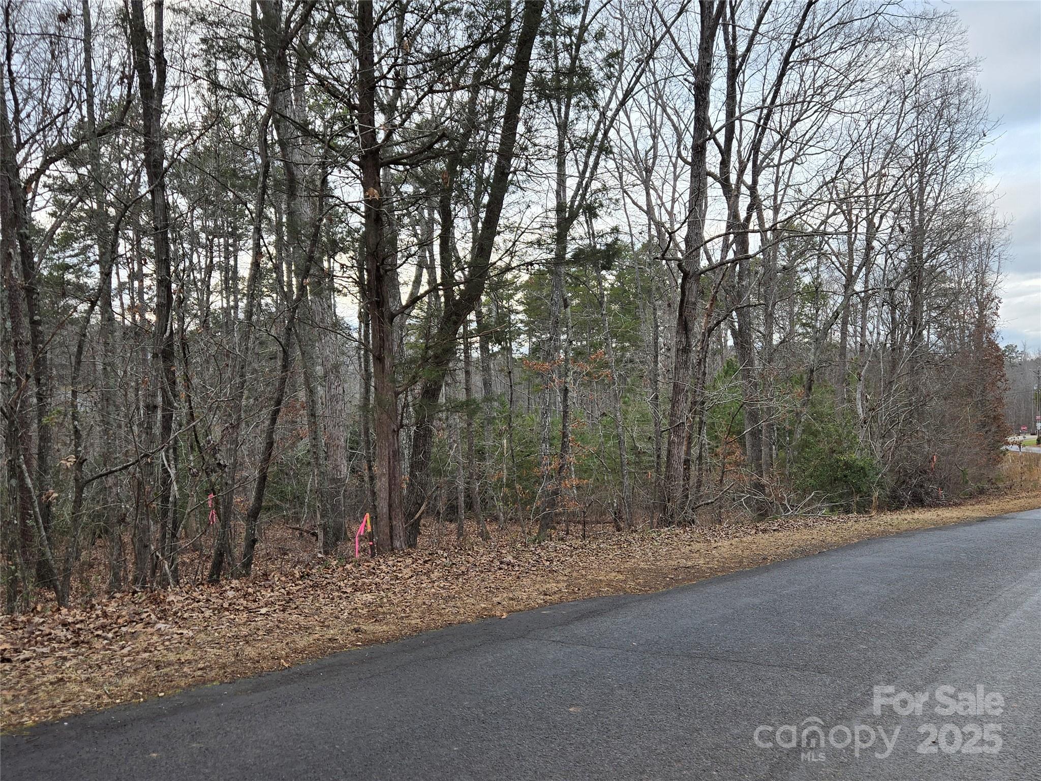 Lake Shore Estates - Land