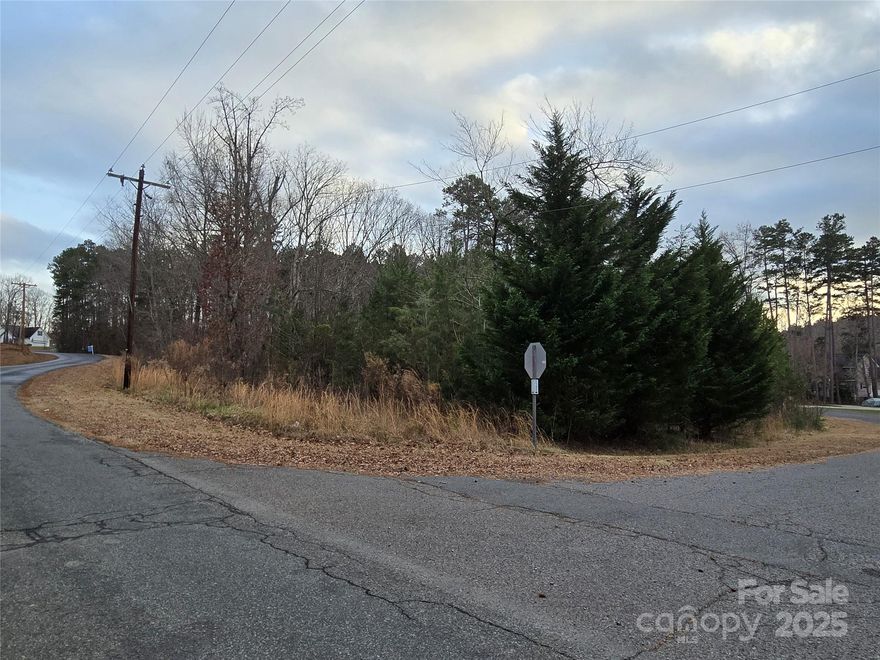 2 lots in the Lakeshore Drive community of Badin Lake.  .97 acres in southern Davidson County.  No HOA.  County water and sewer available.  Selling agent comp sale.