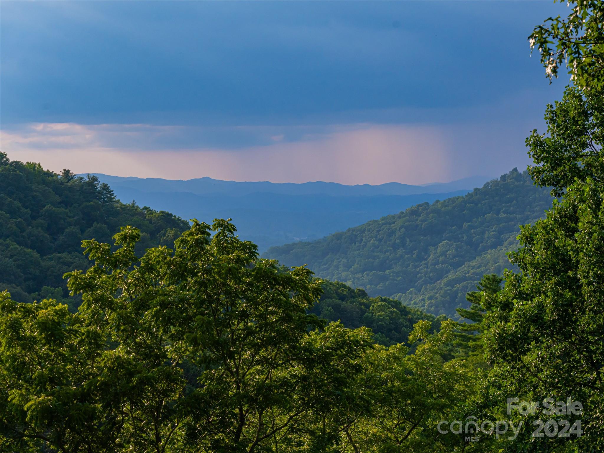 Reynolds Mountain - Residential