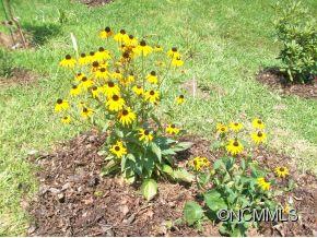 Riverview Terrace - Residential