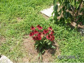 Riverview Terrace - Residential