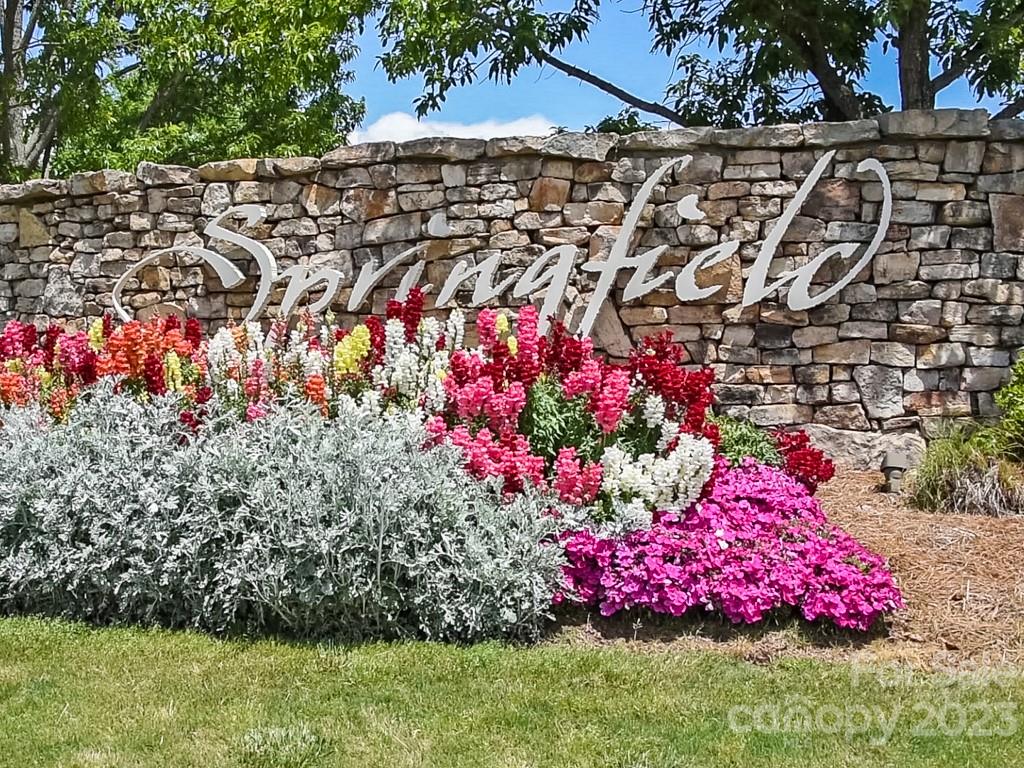 Springfield - Residential