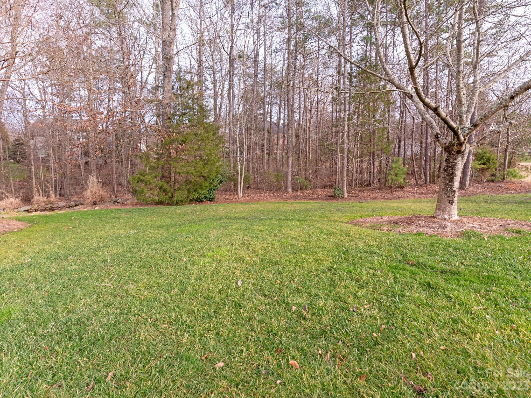 Springfield - Residential