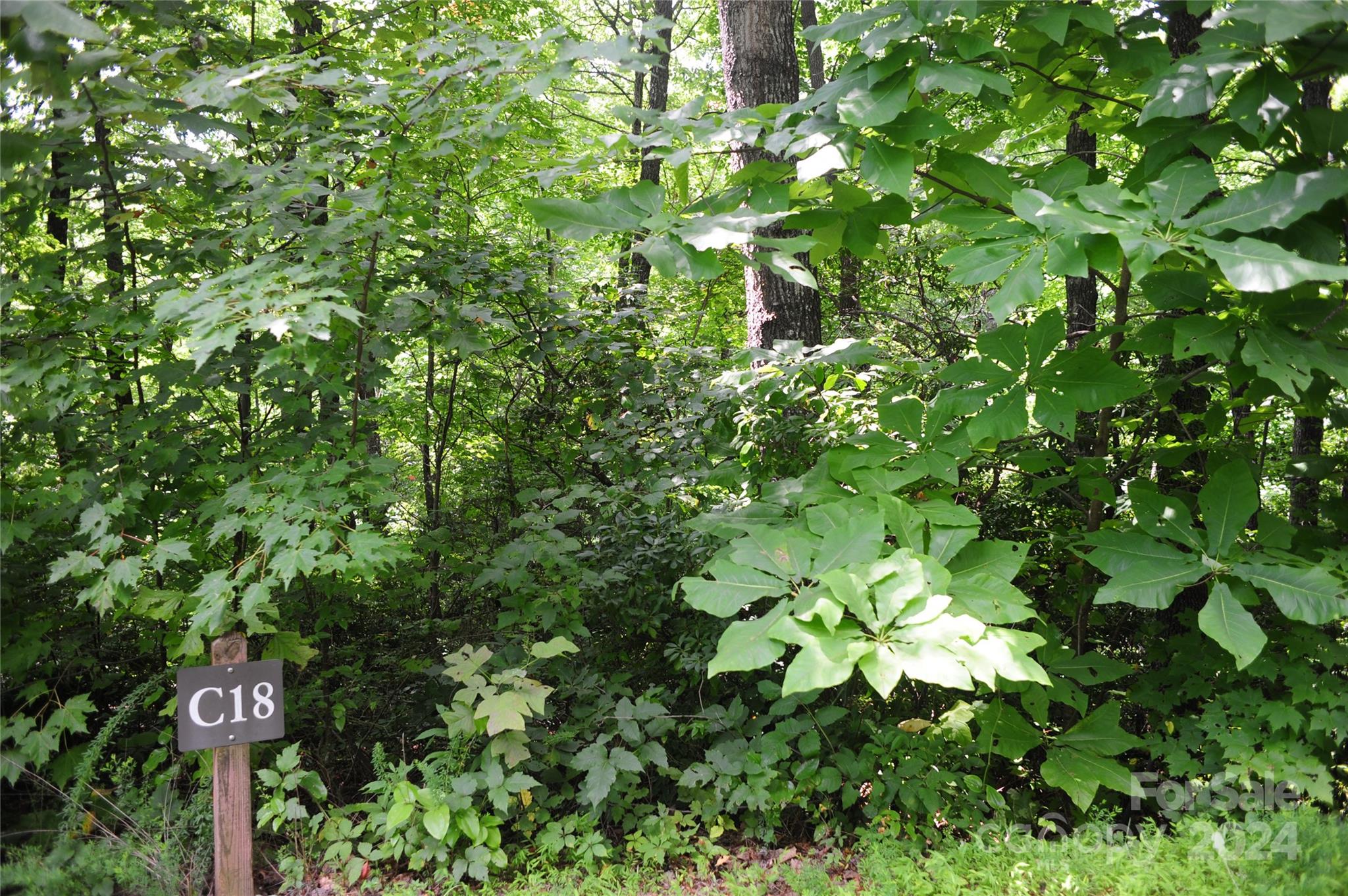 132 Ironwood Lane #C17/C18