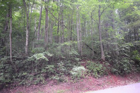 132 Ironwood Lane #C17/C18 Black Mountain NC 28711