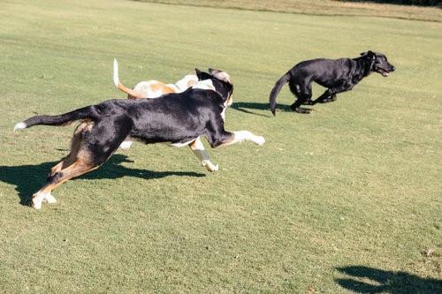 River Hills - Residential