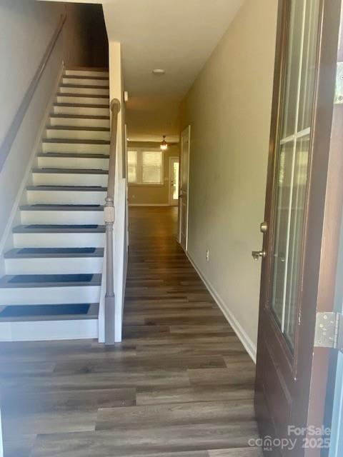 10416 Audubon Ridge Drive 4
