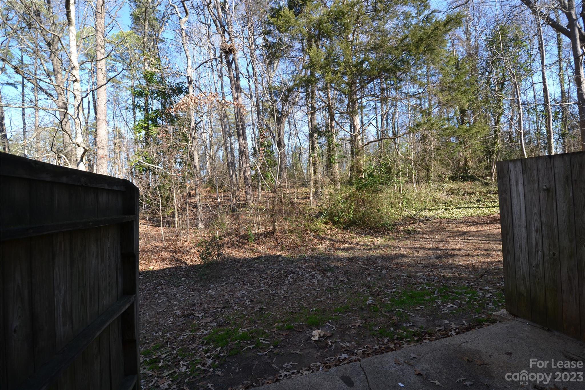 None - Residential Lease