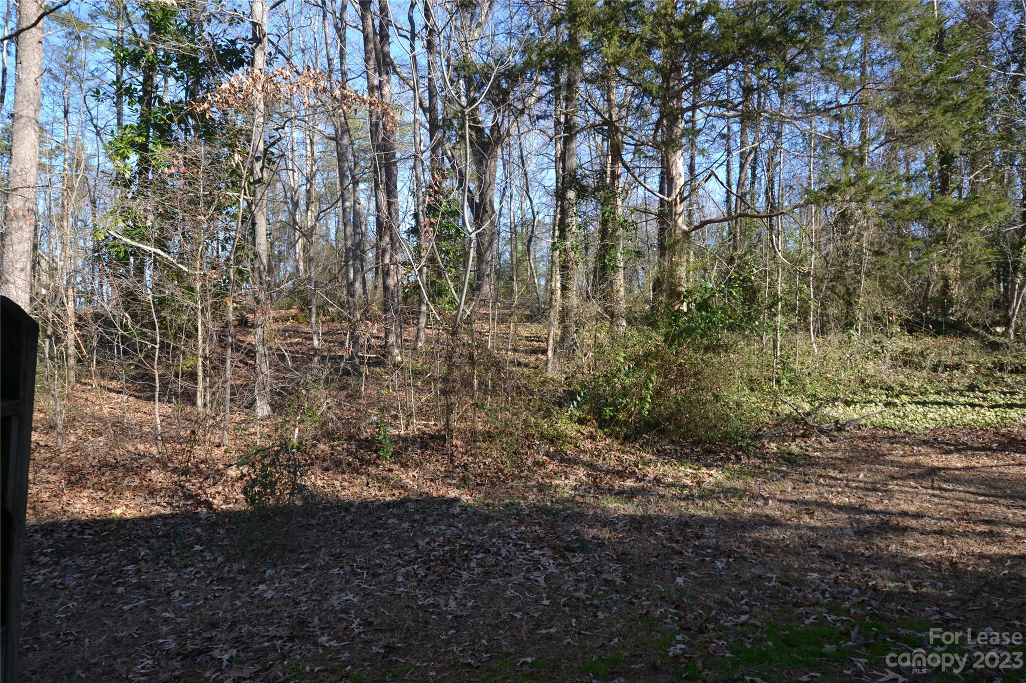 None - Residential Lease