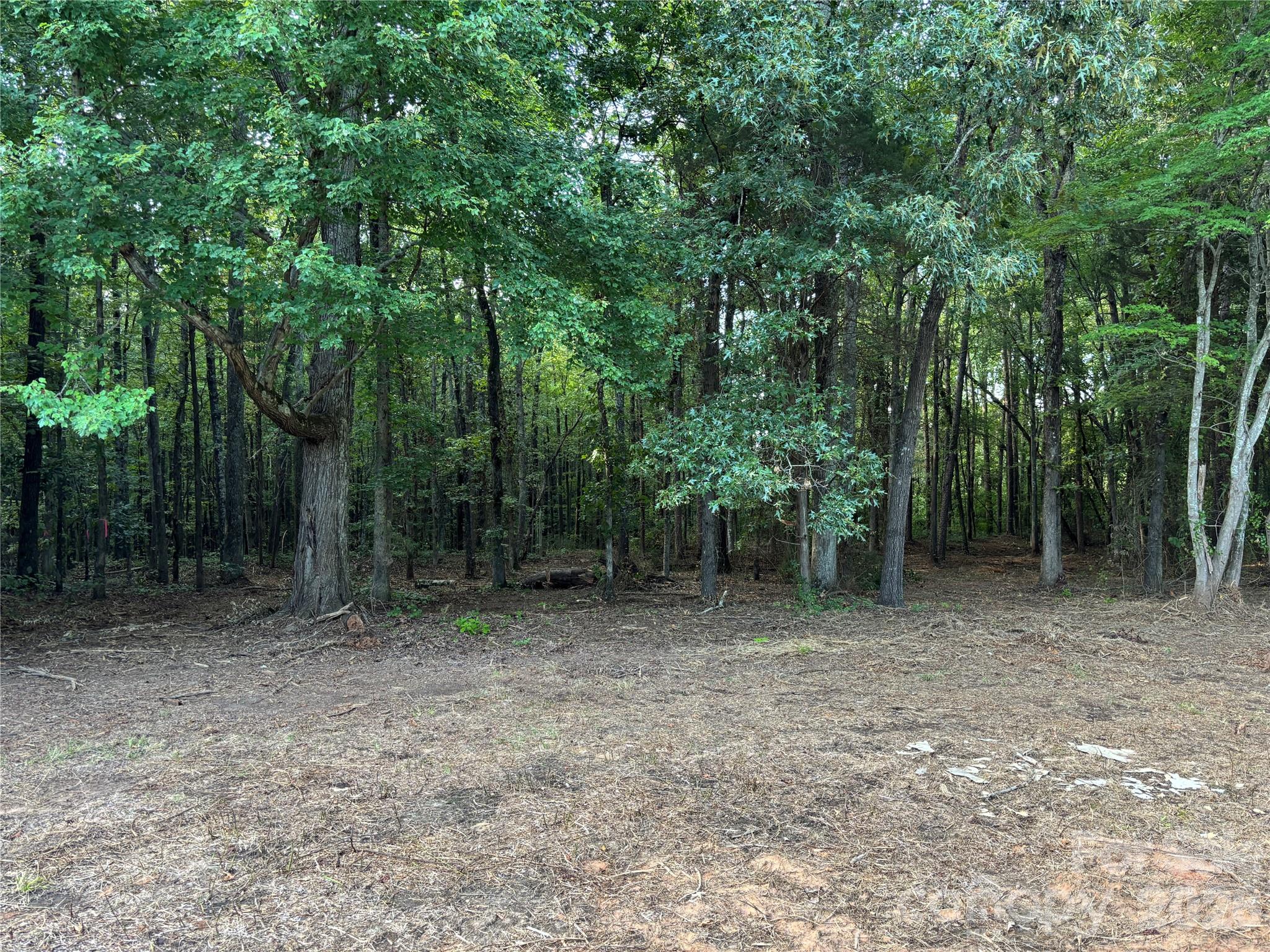 13.5 +/- Acres Mooresville Road