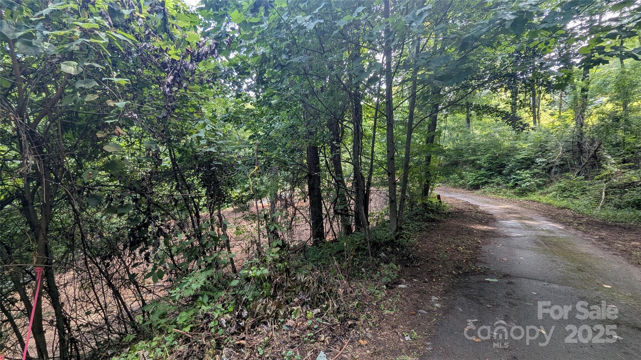 48 Apple Tree Court 2