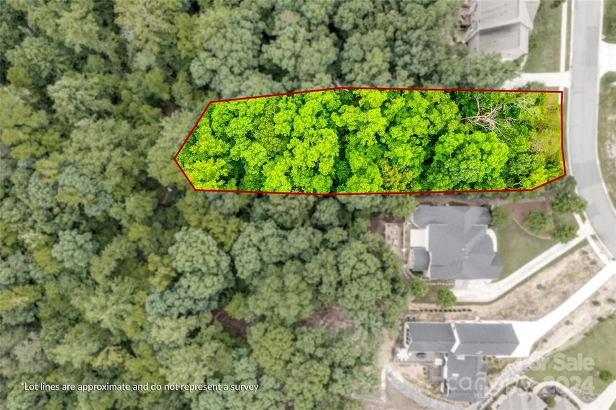 Beautiful wooded lot located in coveted Serenity Point, Tega Cay. Would be perfect for a basement or crawlspace. Lots of trees and very deep lot offers private rear yard setting.