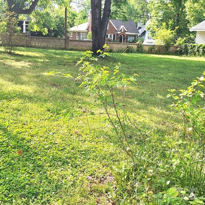 207 MAURICE ST, MONROE, NC 28112 - Image 3edc1ed447f9cb4182a5dd030775af2d/765579892