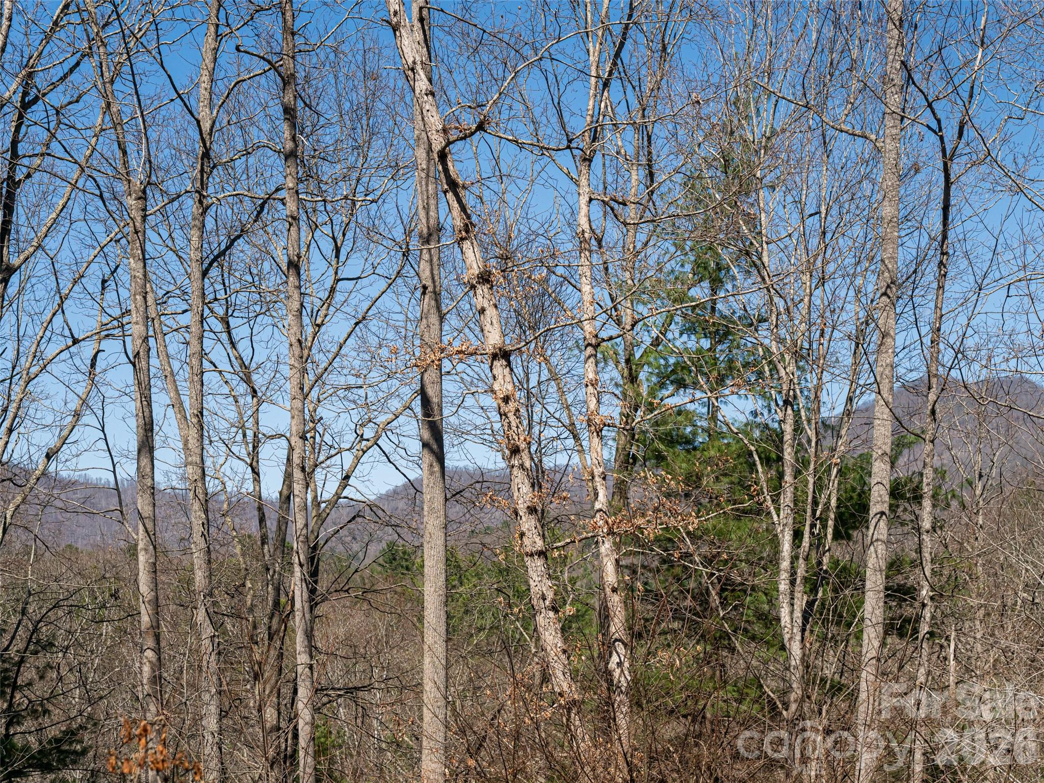 Oak Hollow - Residential