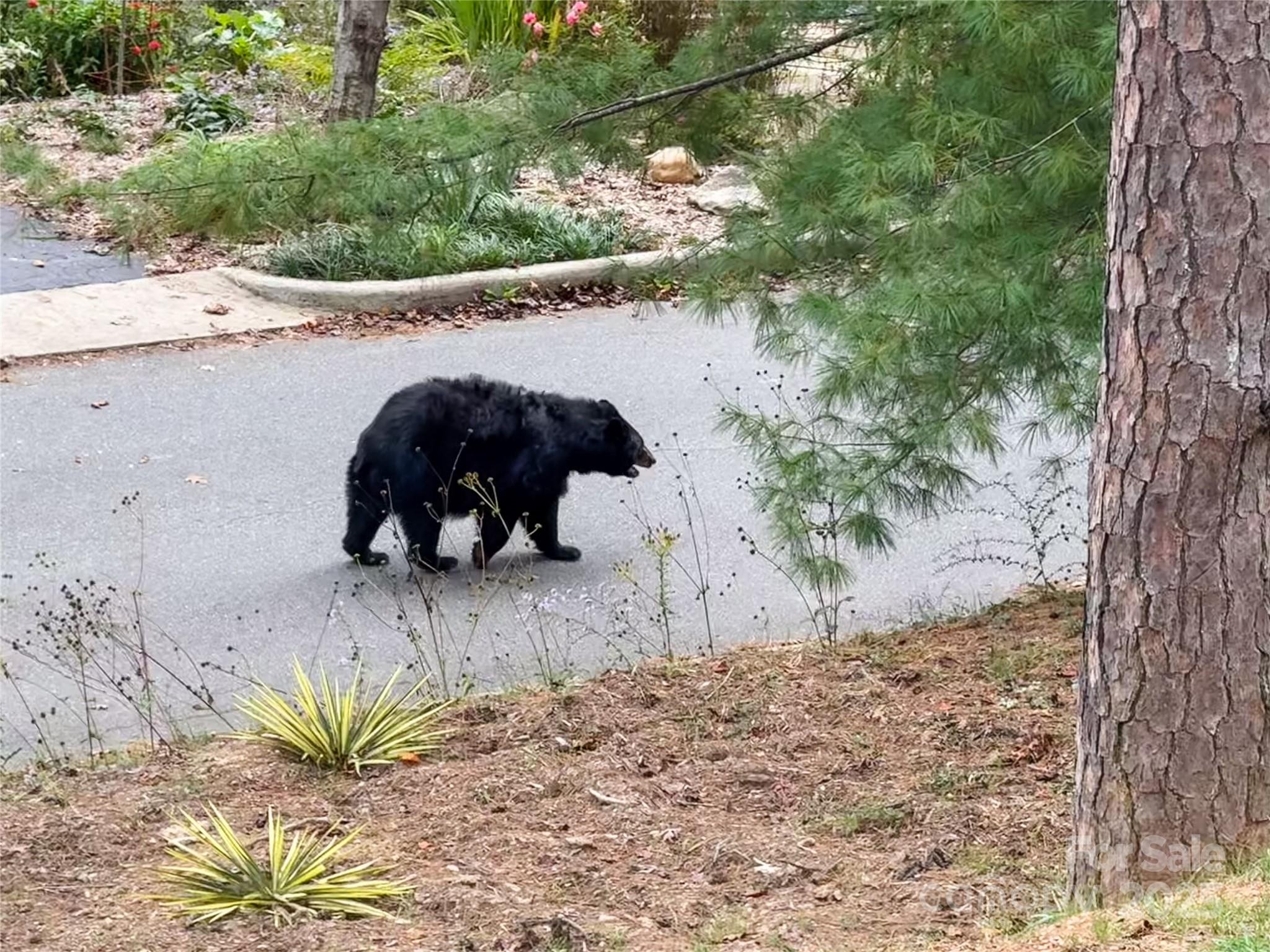 Lakeview Park - Residential