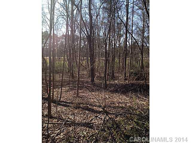 Greyland Hills - Land