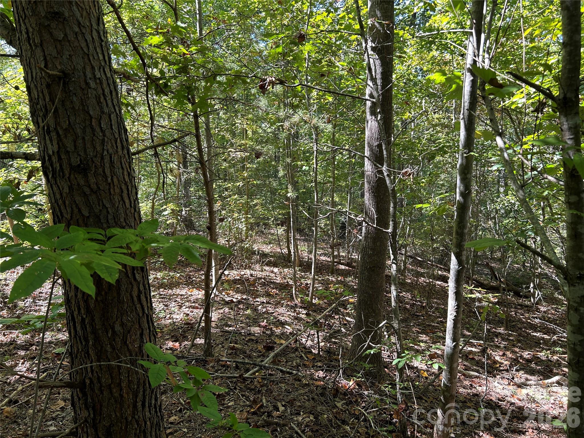 South Mountain Peaks - Land