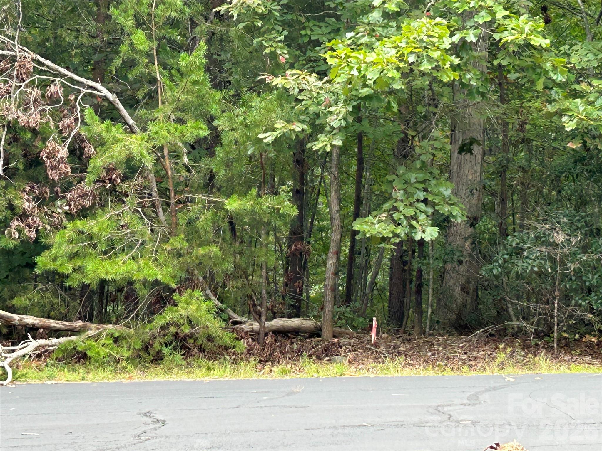 South Mountain Peaks - Land