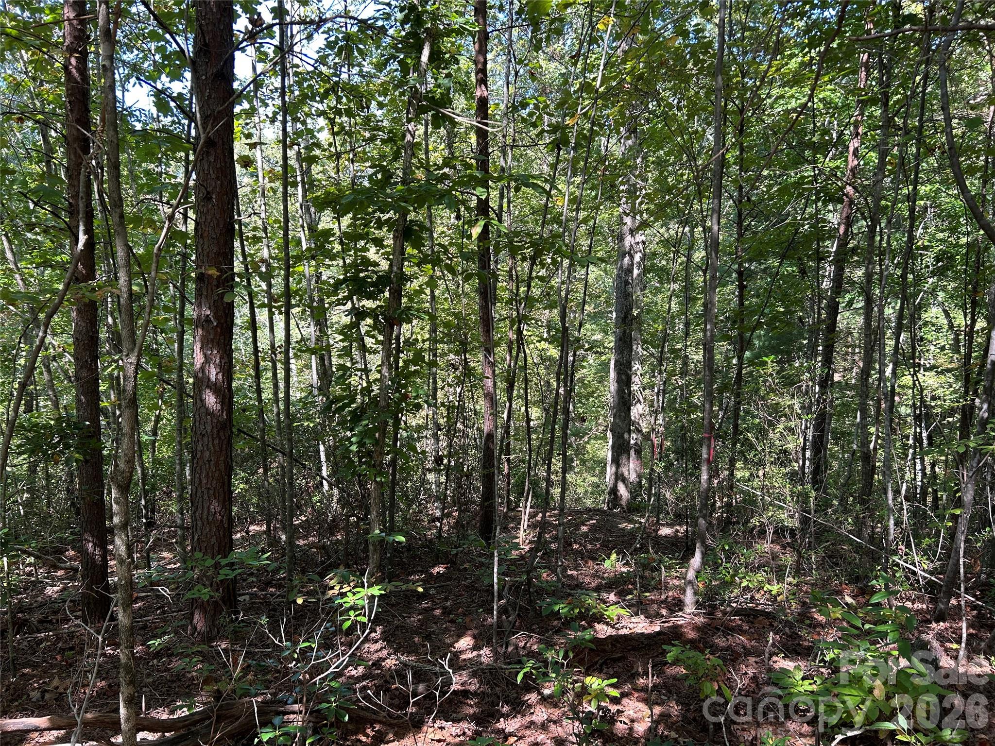 South Mountain Peaks - Land