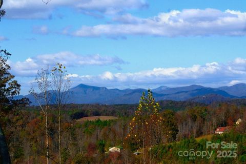 488 Moonlight Pass Union Mills NC 28167