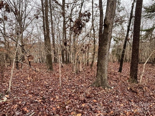 0 CHURCH ROAD # 551, NEW LONDON, NC 28127 - Image 3f0739cfaa19e872582c7b0bd7bbcf72/1967640633