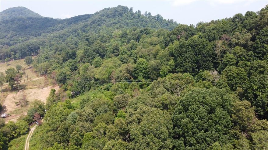 Discover the perfect location for your dream property on this expansive 5.57-acres land. Located right outside of downtown, ready for you to come and build your dream home or to develop. Owner is open to reasonable offers.