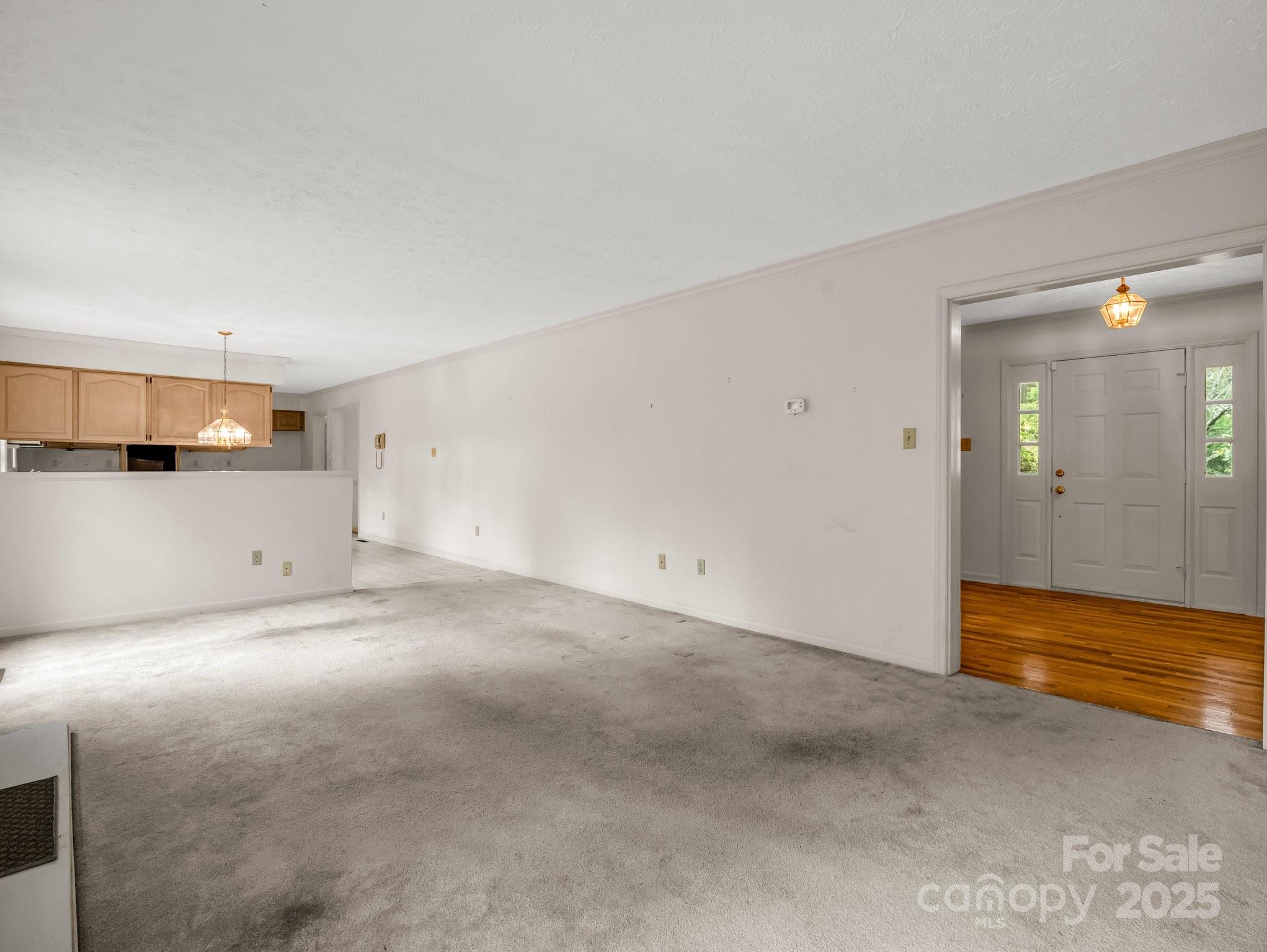 Red Fox - Residential