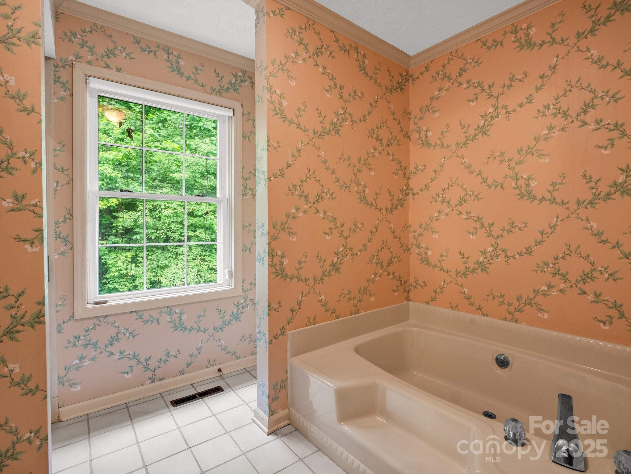 Red Fox - Residential