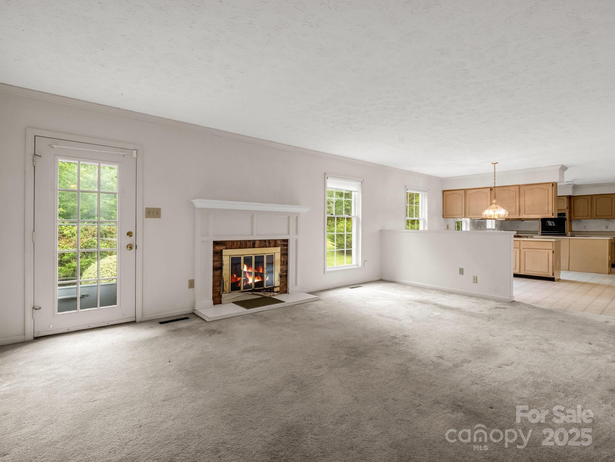 Red Fox - Residential