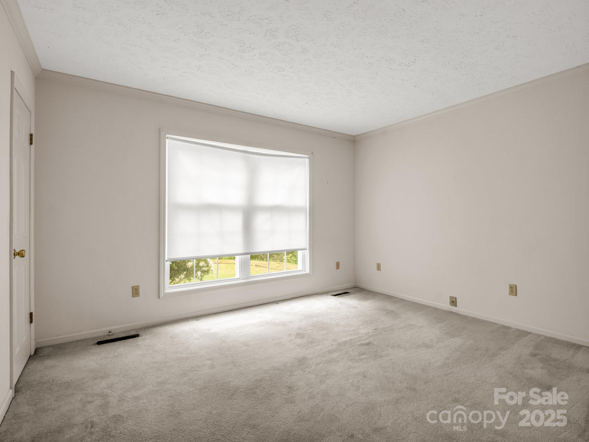 Red Fox - Residential