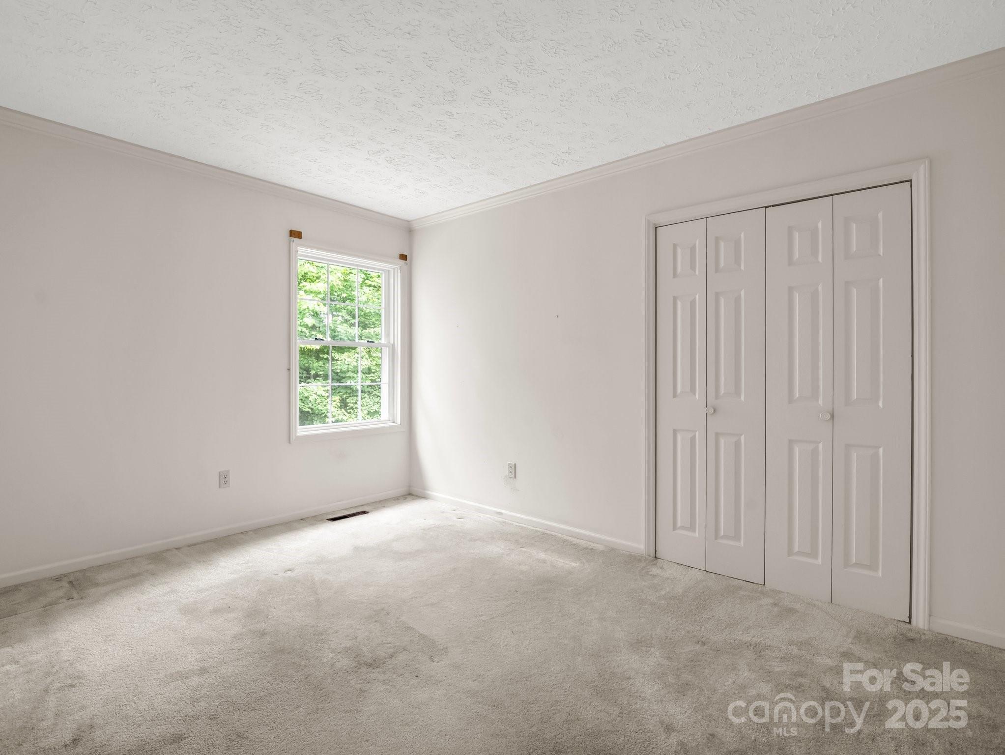 Red Fox - Residential