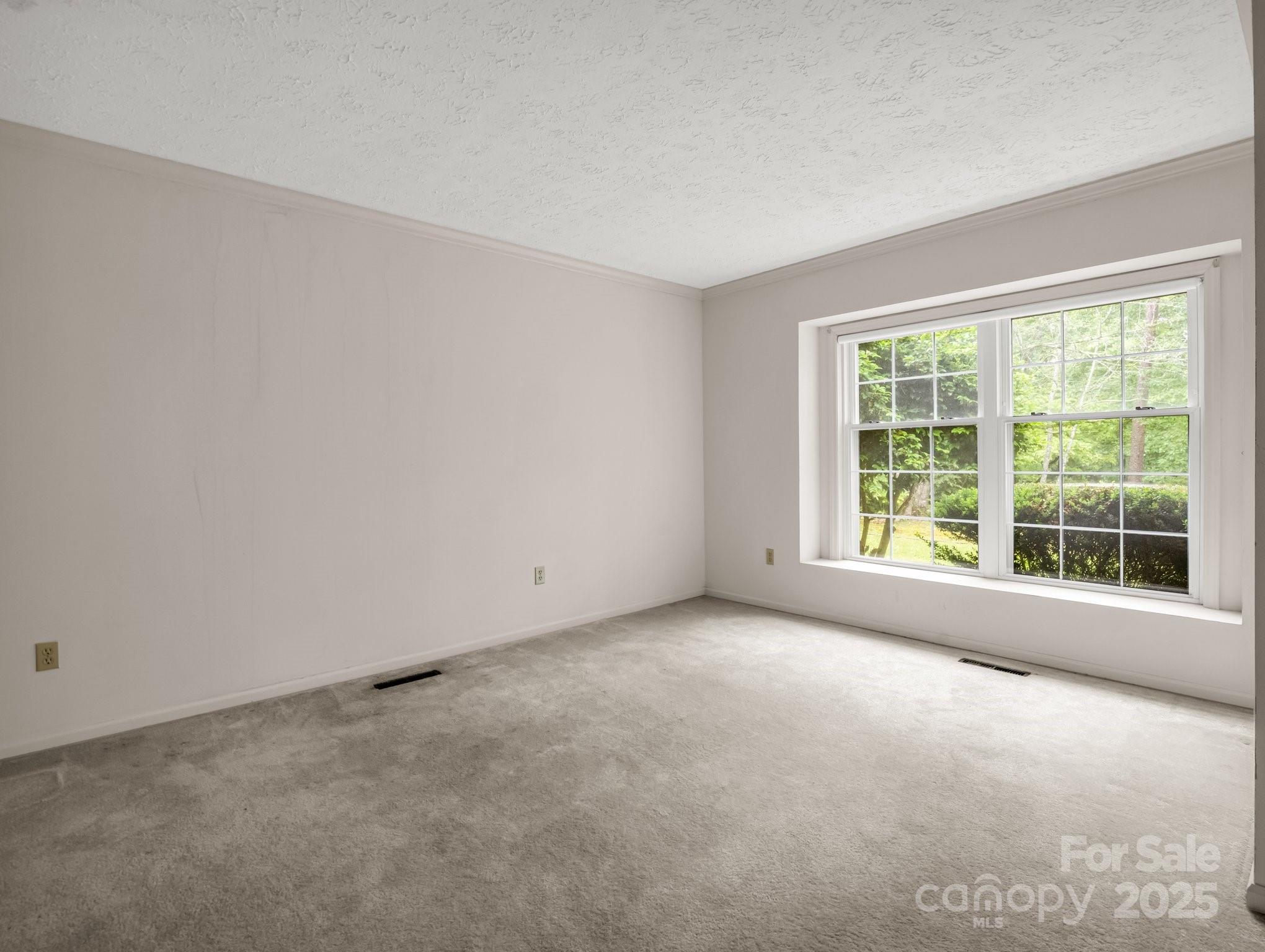 Red Fox - Residential