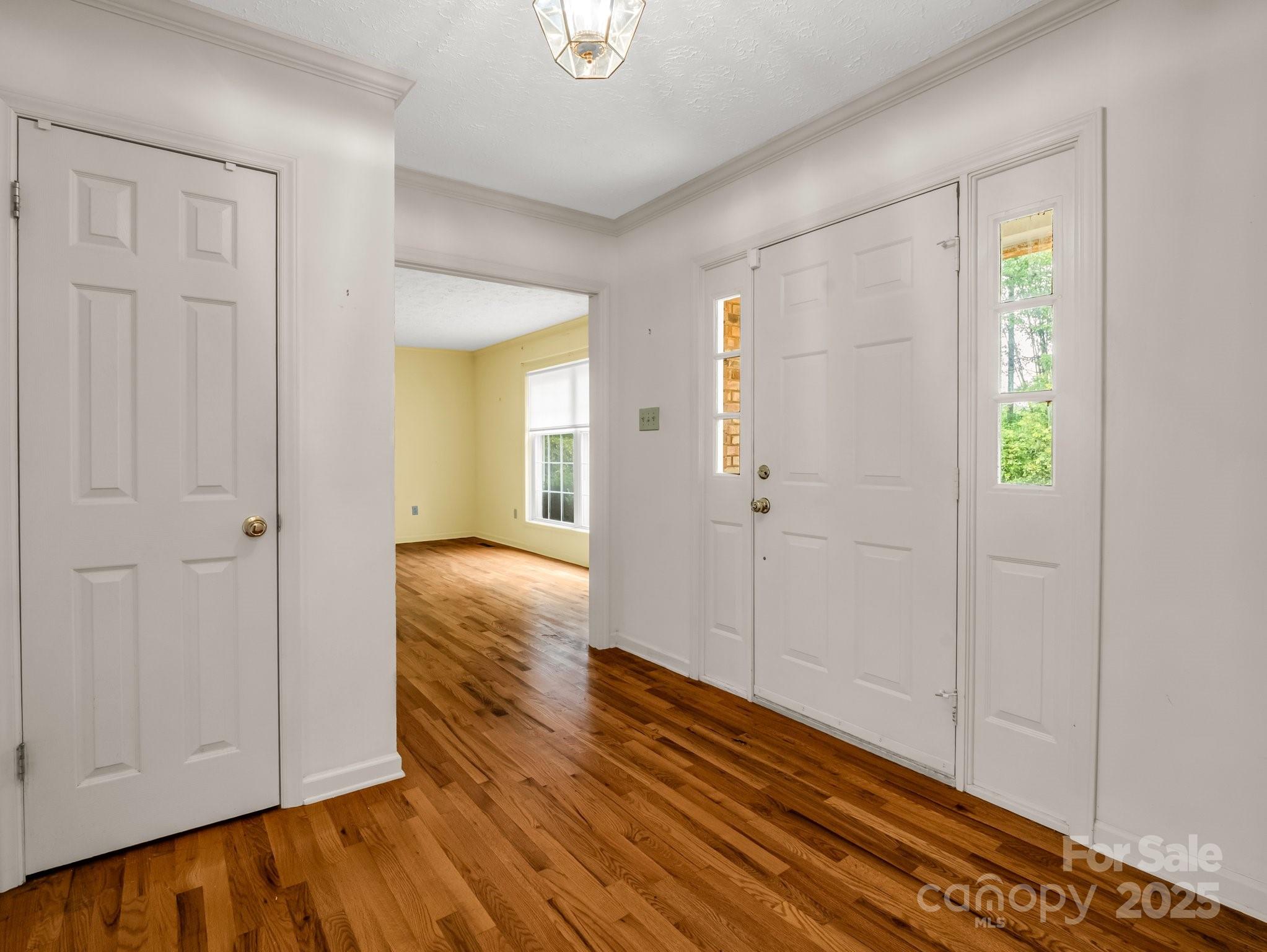 Red Fox - Residential