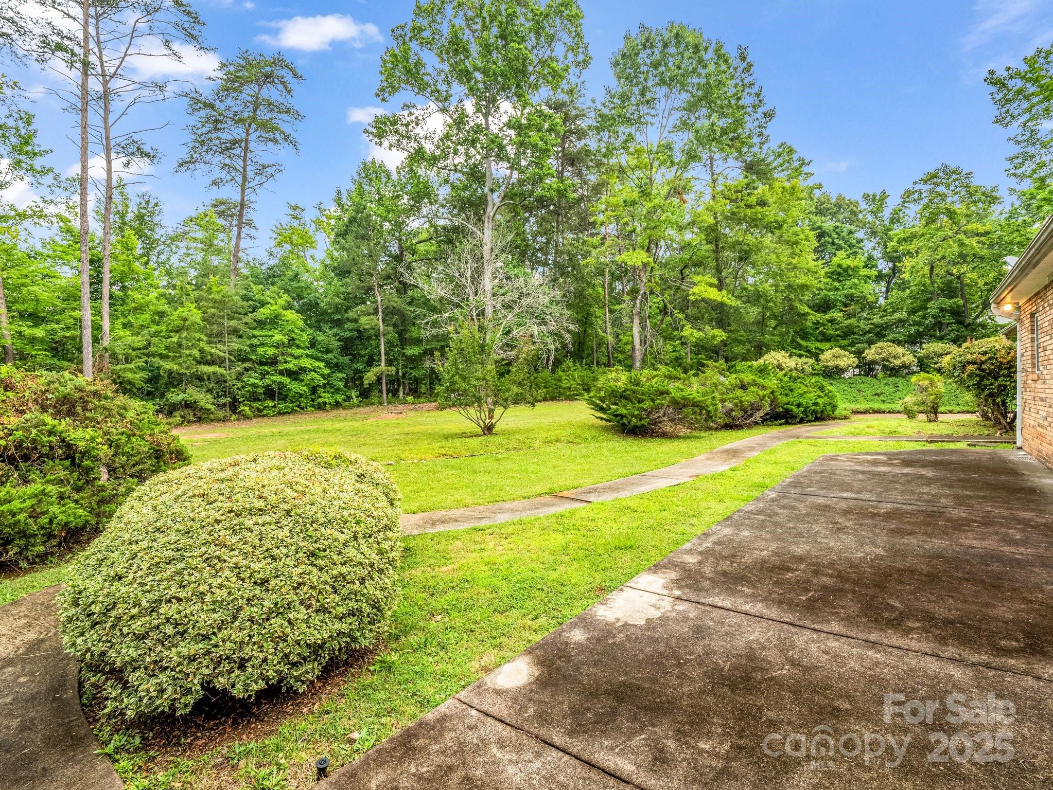 Red Fox - Residential