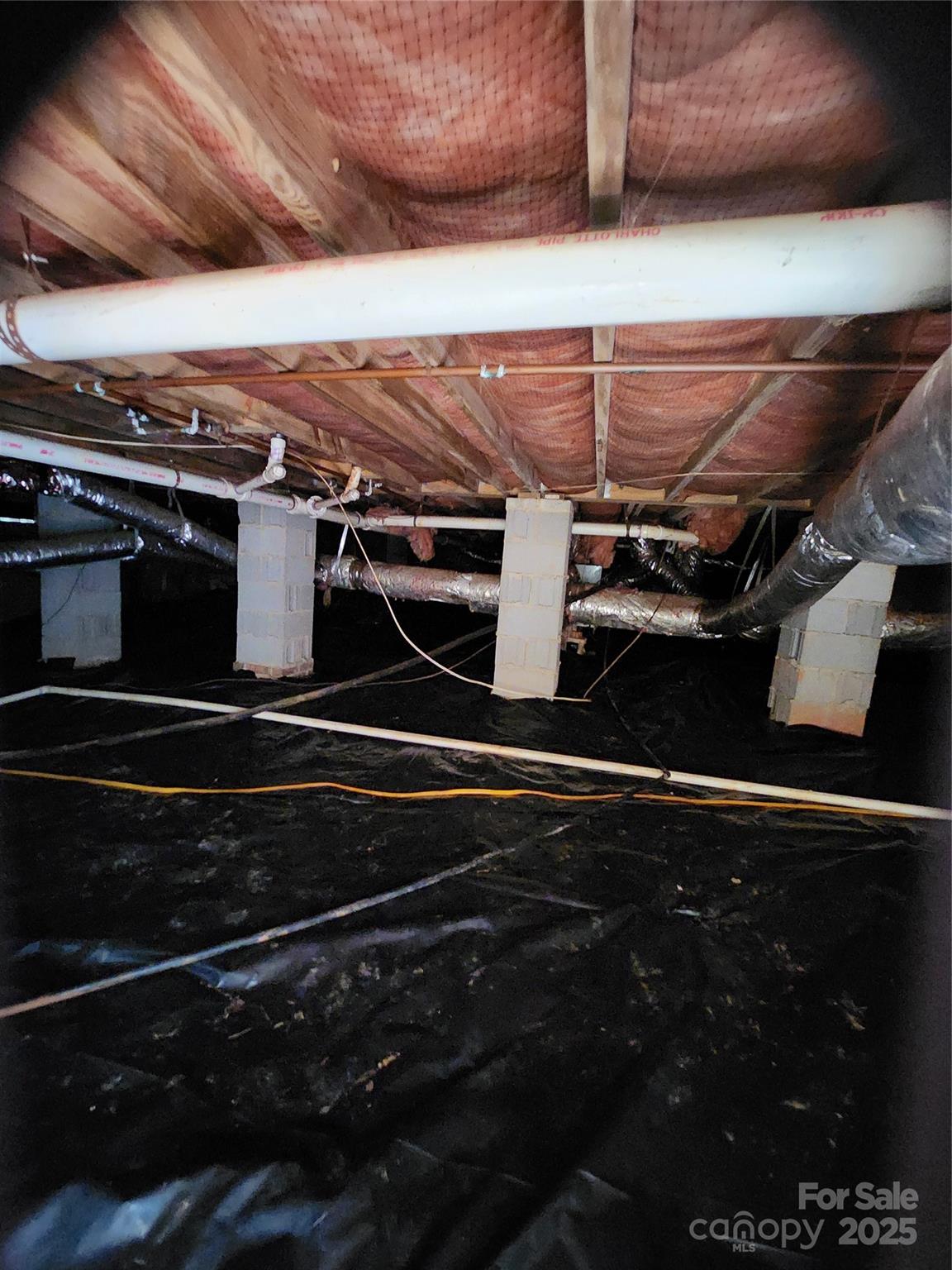 Red Fox - Residential