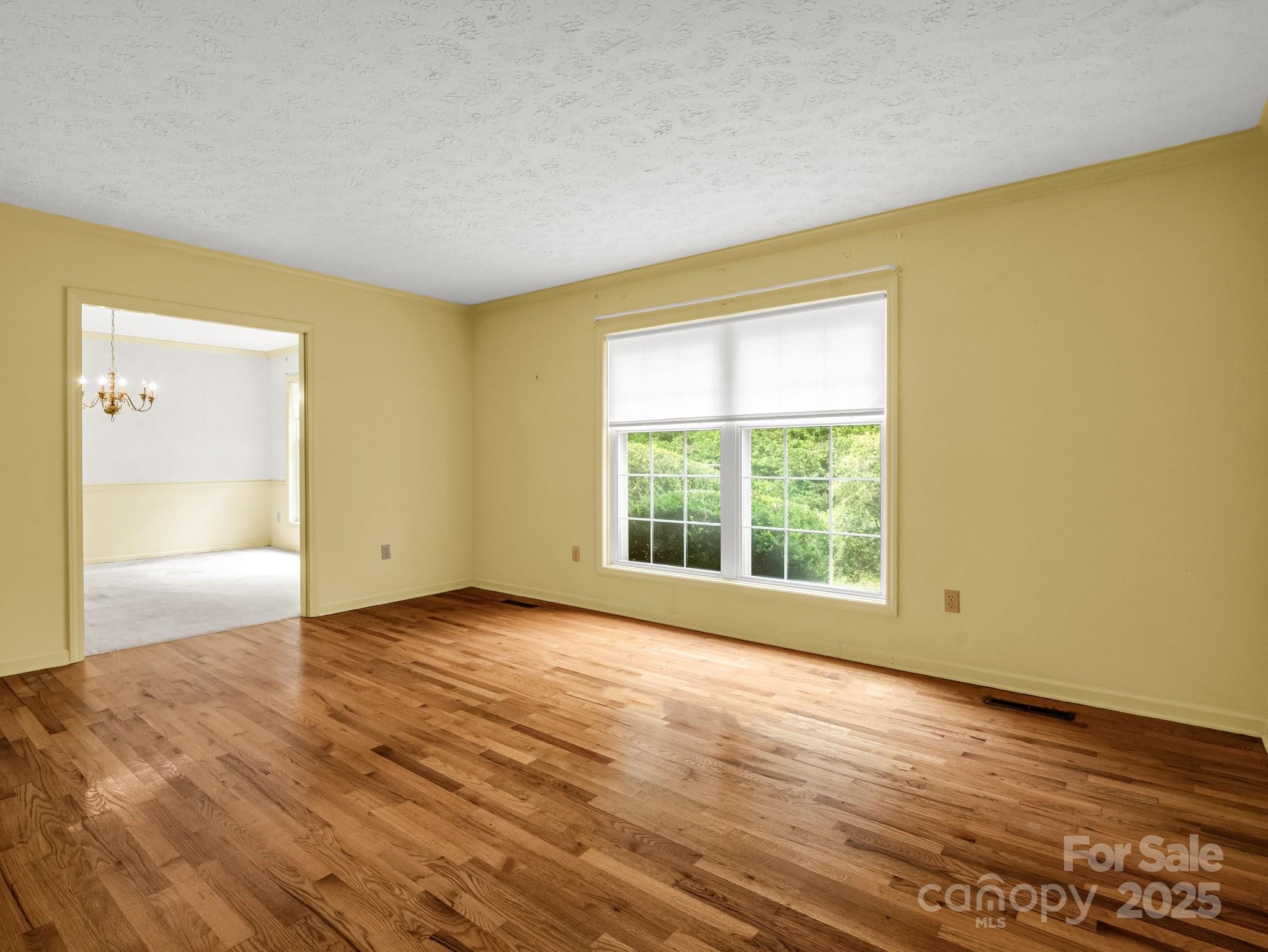 Red Fox - Residential