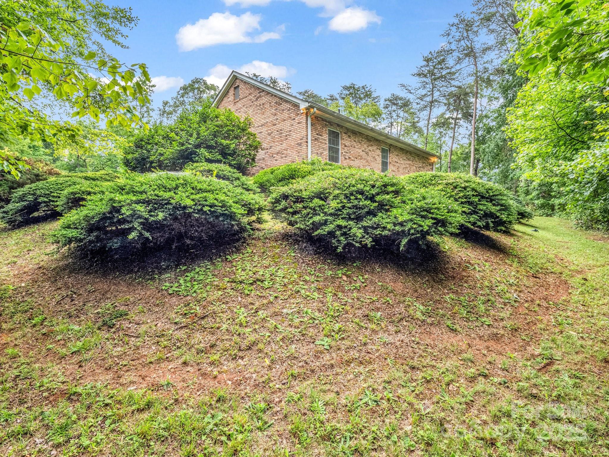 Red Fox - Residential