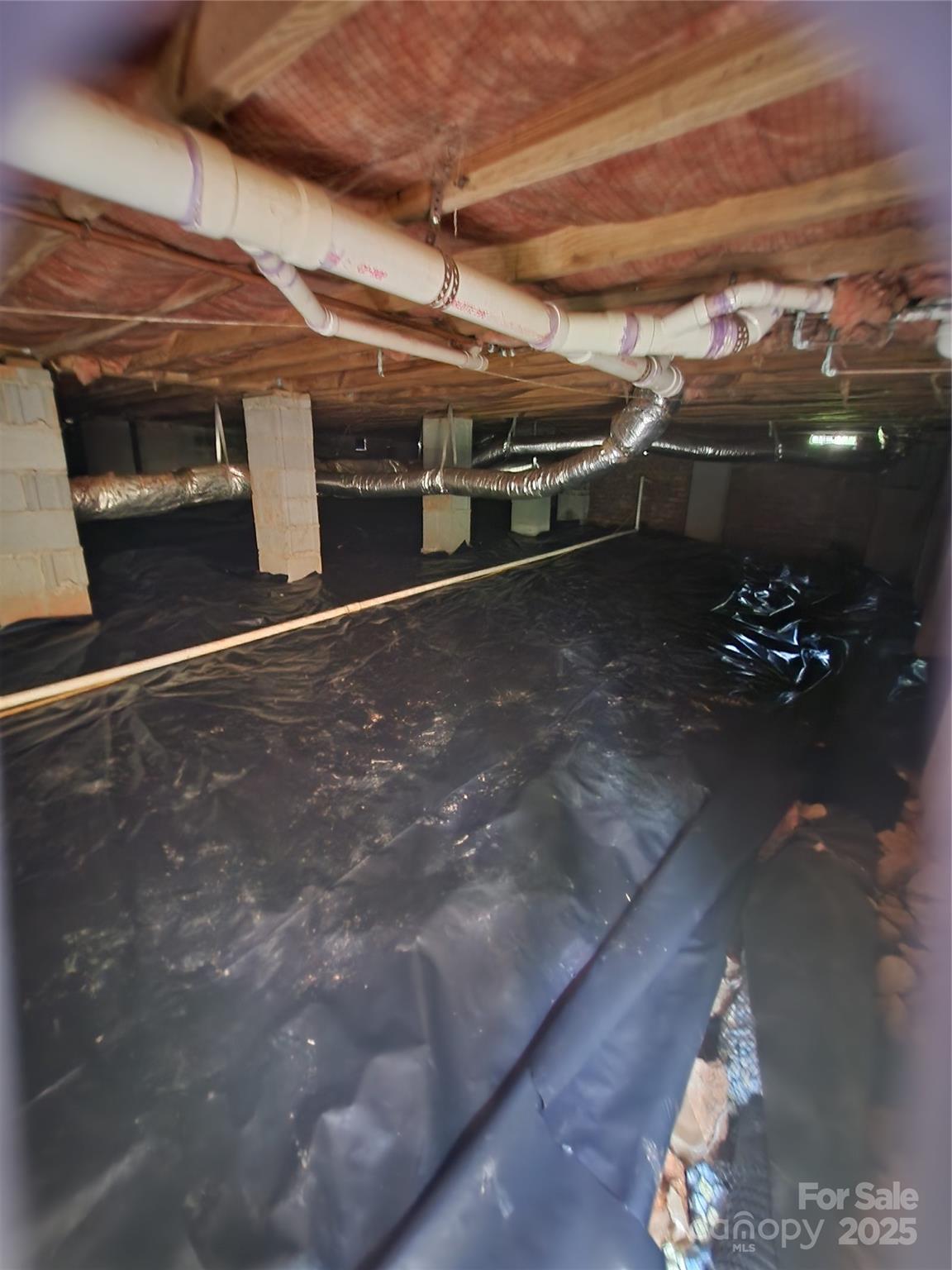 Red Fox - Residential