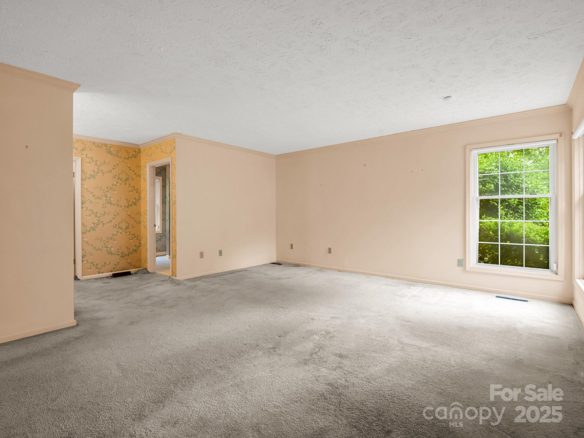 Red Fox - Residential