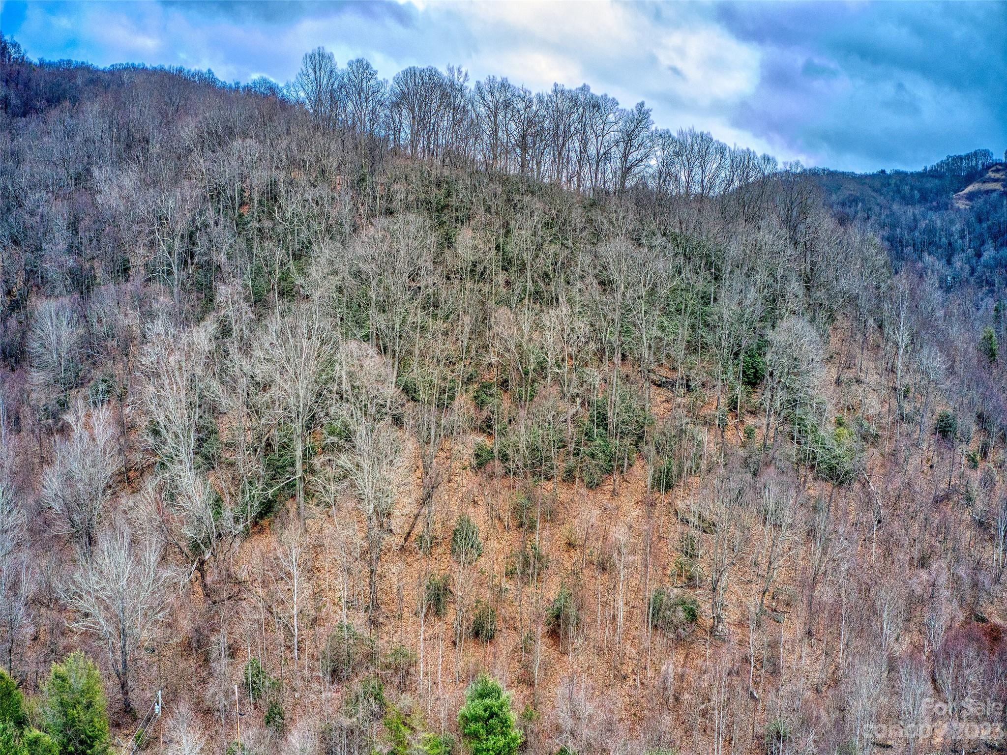 Shiners Ridge - Land
