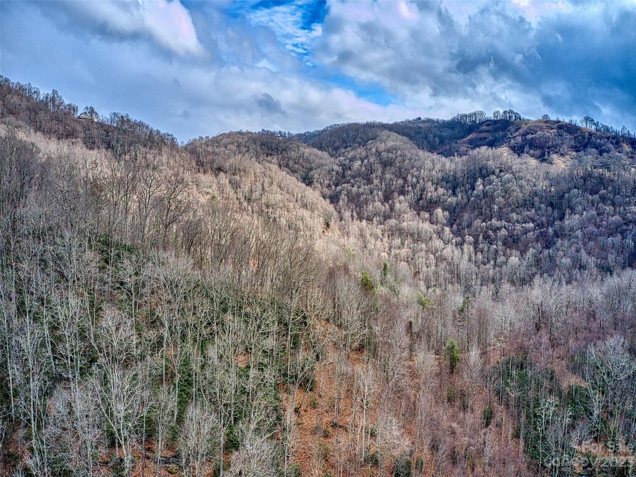 Shiners Ridge - Land