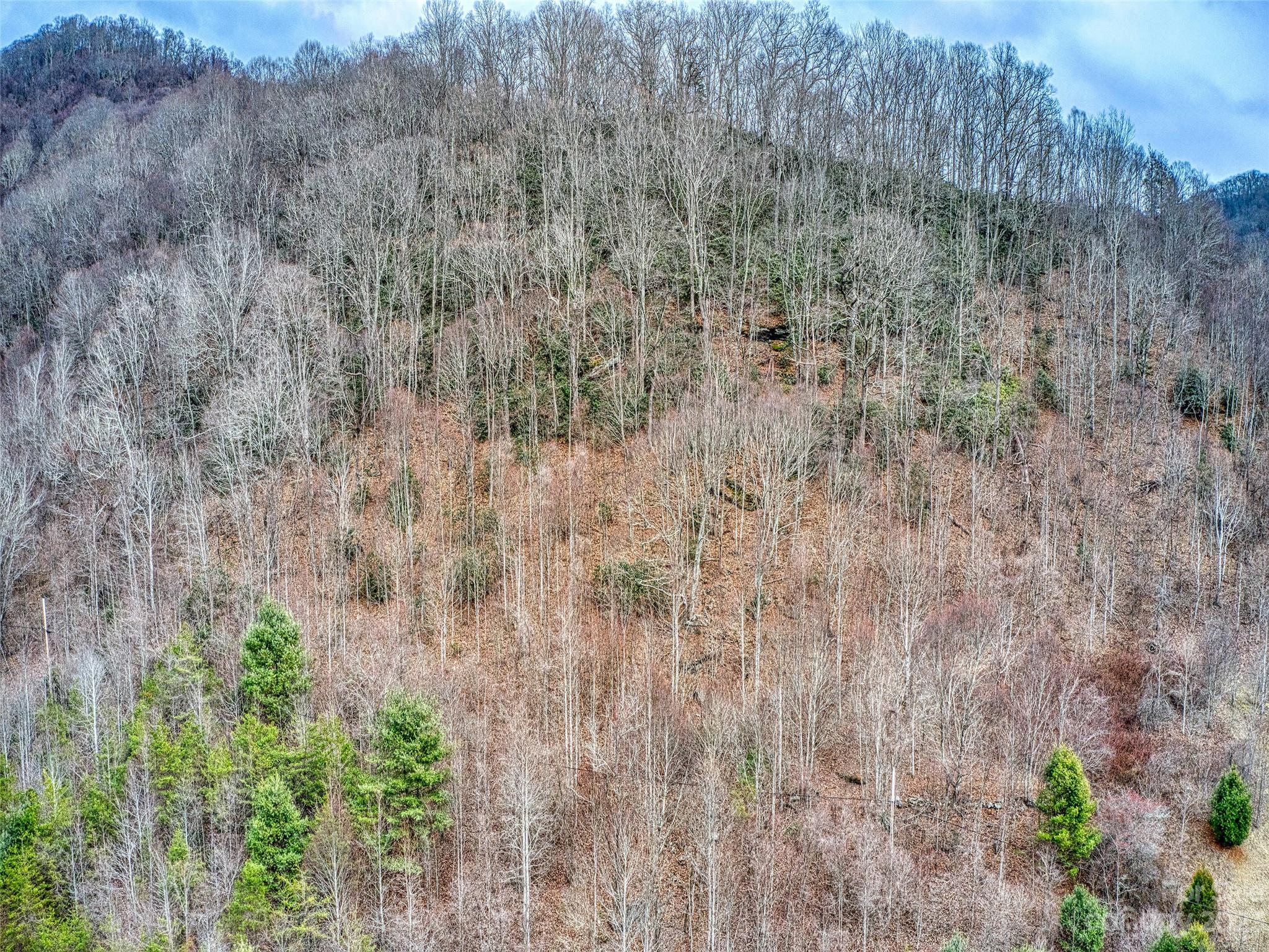 Shiners Ridge - Land